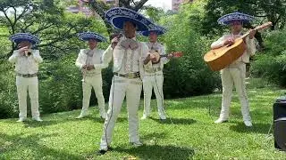 Presentación Mariachi