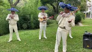 Mariachi en Vivo