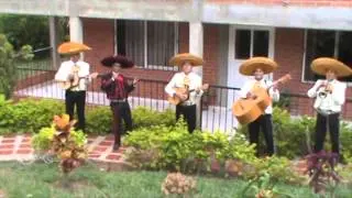 Serenata Especial