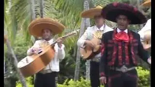 Show de Mariachis