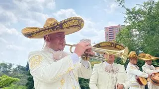 Serenata de Cumpleaños