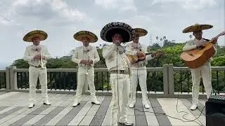 Serenata en Cali